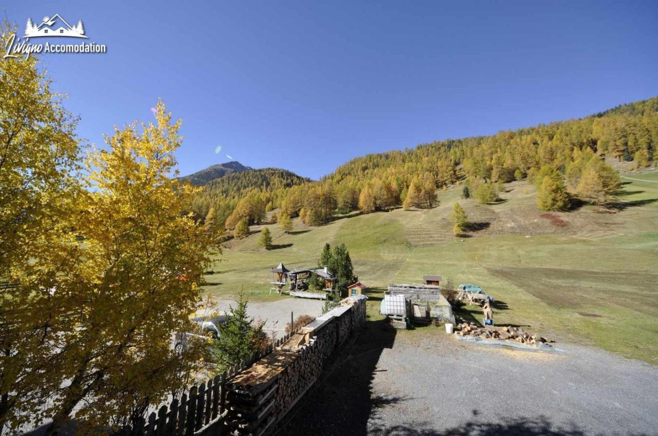 Casa Florin Giumel By Livigno Accomodation Екстериор снимка
